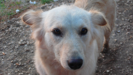 Screen Shot 2013-12-04 at 7.22.09 AM