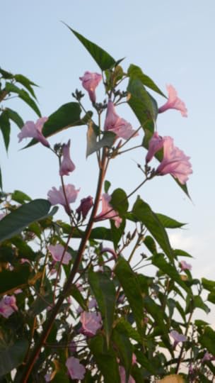 Screen Shot 2013-12-04 at 7.10.32 AM