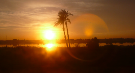 Screen Shot 2013-12-03 at 12.21.03 PM