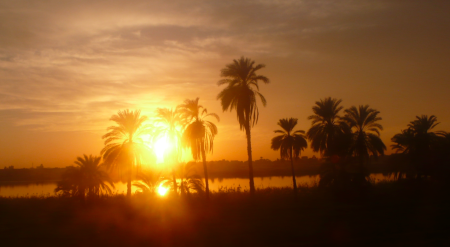 Screen Shot 2013-12-03 at 12.21.49 PM