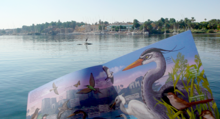 Screen Shot 2013-12-03 at 12.18.06 PM