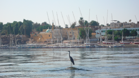 Screen Shot 2013-12-03 at 12.06.49 PM