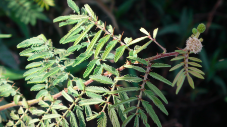 Screen Shot 2013-12-03 at 11.53.38 AM