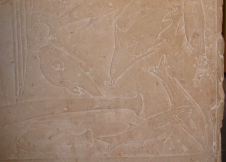 Screen Shot 2013-11-29 at 6.22.21 PM