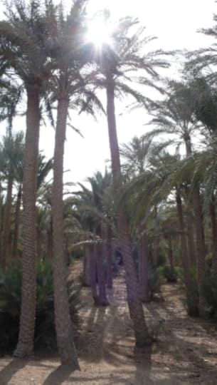 Screen Shot 2013-11-29 at 6.37.19 PM