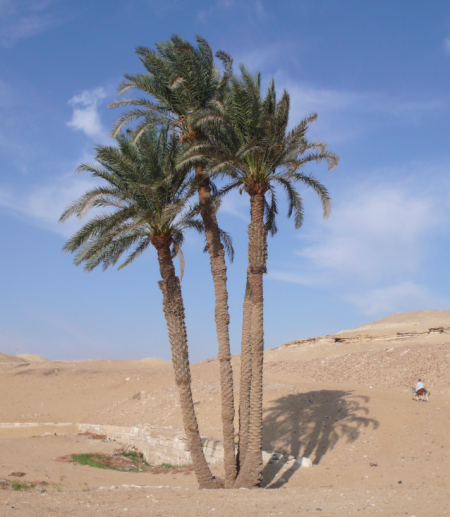 Screen Shot 2013-11-29 at 6.12.19 PM