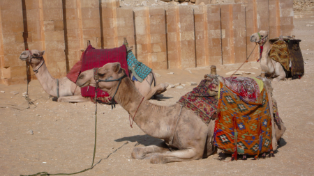 Screen Shot 2013-11-29 at 6.17.12 PM