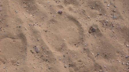 Screen Shot 2013-11-29 at 6.33.10 PM