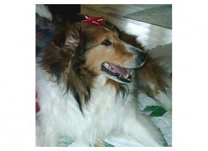 George Bailey 1998 - 2009