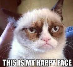 Grumpy cat's happy face when he learned how to do Facebook customized tabs (it's not very happy looking)
