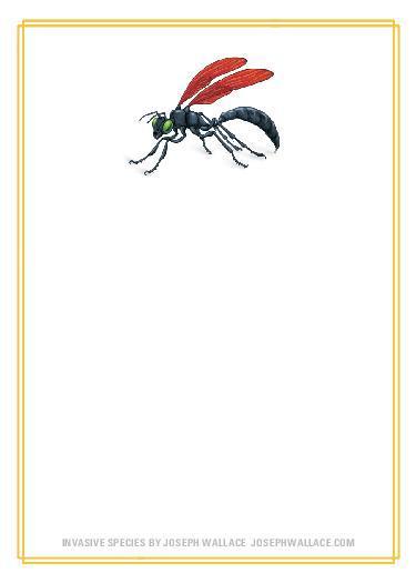 Invasive Species Bookplate-page-001