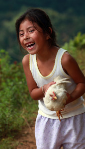 chicken 2