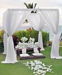 wedding5
