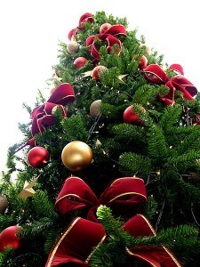 450px-Christmas_tree_sxc_hu