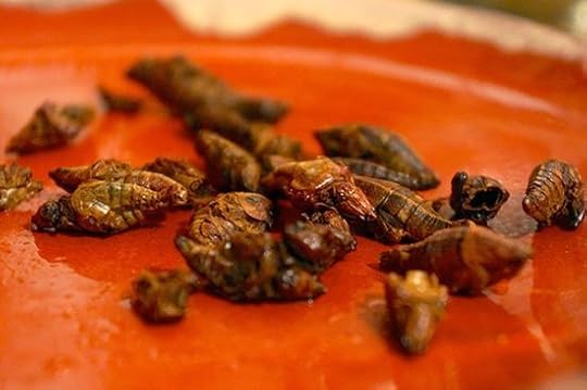 Insectos 1