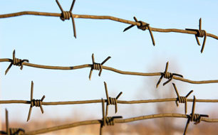 barbed wire – photo ©Arrows