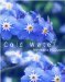 Cold Water by Annmarie McQueen