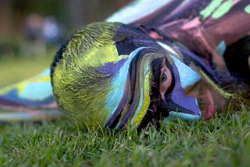 Photo by Beatrice Murch @ flickr