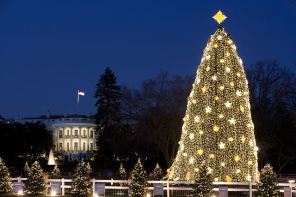 White House 640