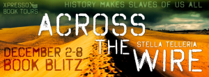 AcrosstheWireBlitzBanner11