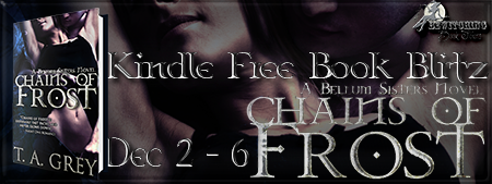 Chains of Frost Banner 450 X 169