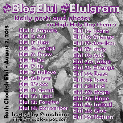 Blogelul2013
