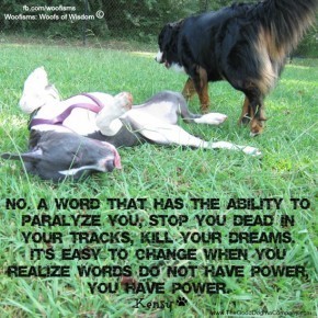 wordsIMG 3026 290x290 Woofisms: Woofs of Wisdom © funny dog blog