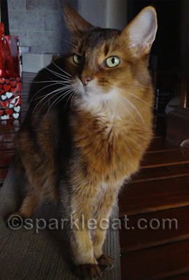 Can you tell I am wearing my thinking cap? Happily, it is invisible!