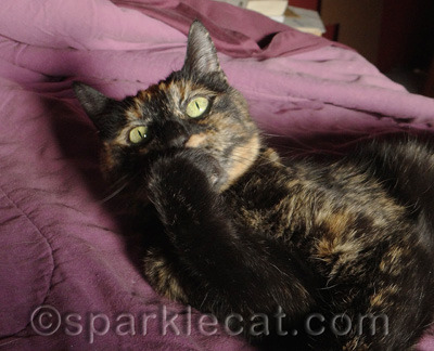 Pay no attention - that is her WHAPPING paw!