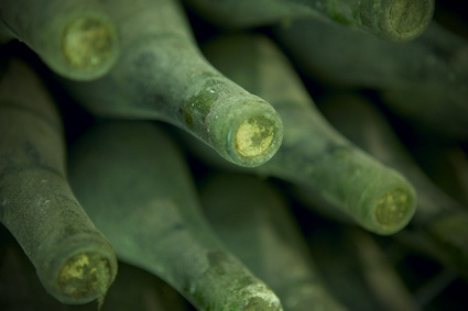 Wine bottles in an aging process