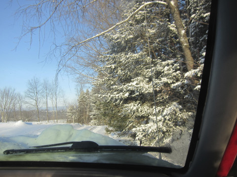 Snow plowin' action, morning of 1/29/13. Photos by Fin