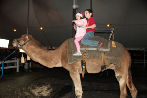 Cousin B, and a camel