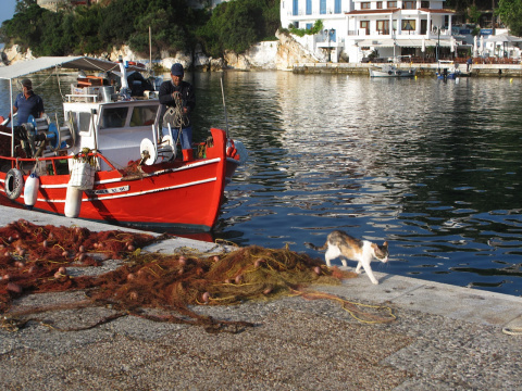 skiathos harbor 2013