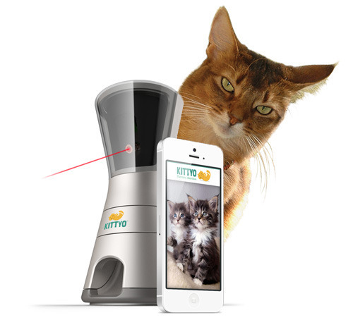The Kittyo is a bunch of cat toys in one!
