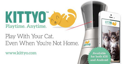 Find out how to get your Kittyo when it becomes available