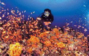 scuba2