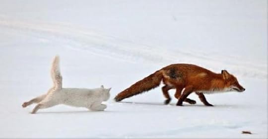 Cowardice Tax - 10 Weird Taxes