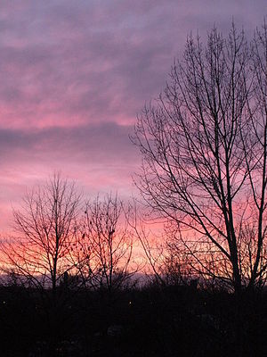 English: Sunset, from the Cumberland Arms, Byker