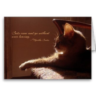 Cats Come and Go Card