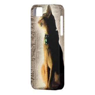 Ancient Dreams iPhone 5 Case
