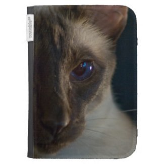 Looking At You Kindle Keyboard Cases