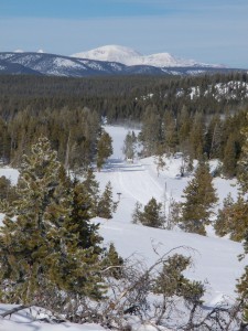 Yellowstone National Park, WY in winter.