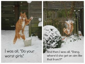 snowball fight