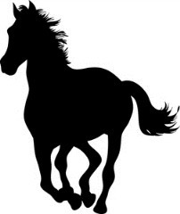 blog20