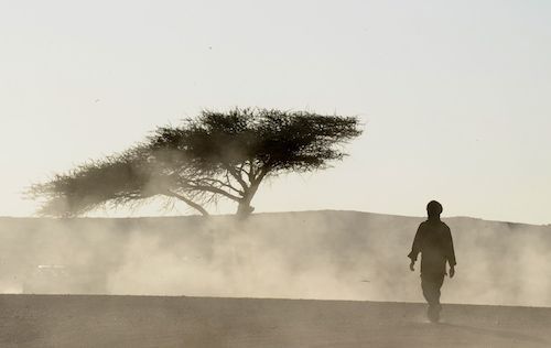 Sahrawi men walk in the desert after a c