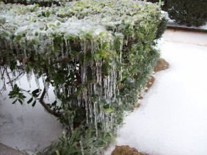 icicles