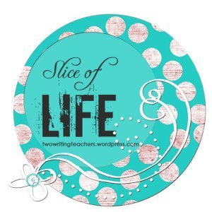 slice of life