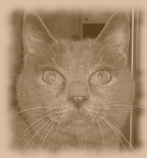 KatyaOld