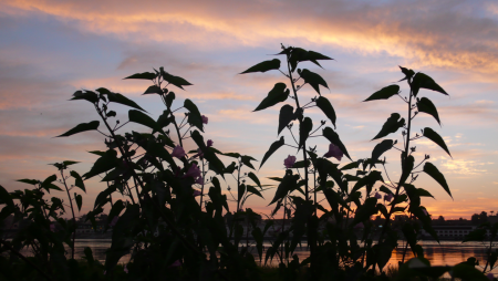 Screen Shot 2013-12-07 at 7.36.41 AM