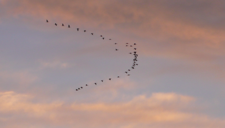 Screen Shot 2013-12-07 at 7.38.28 AM